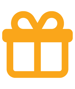 present icon